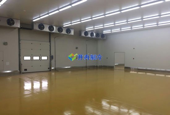 江蘇1000㎡禽蛋類冷庫(kù)（低溫冷藏庫(kù)）建造安裝成本多少